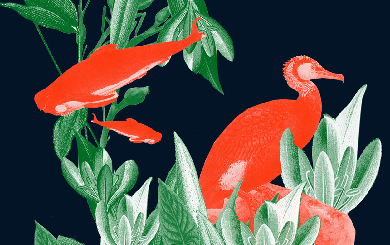Ja Ja Ja returns to Berlin in March with Flora Cash, Amanda Delara + Teksti-TV 666